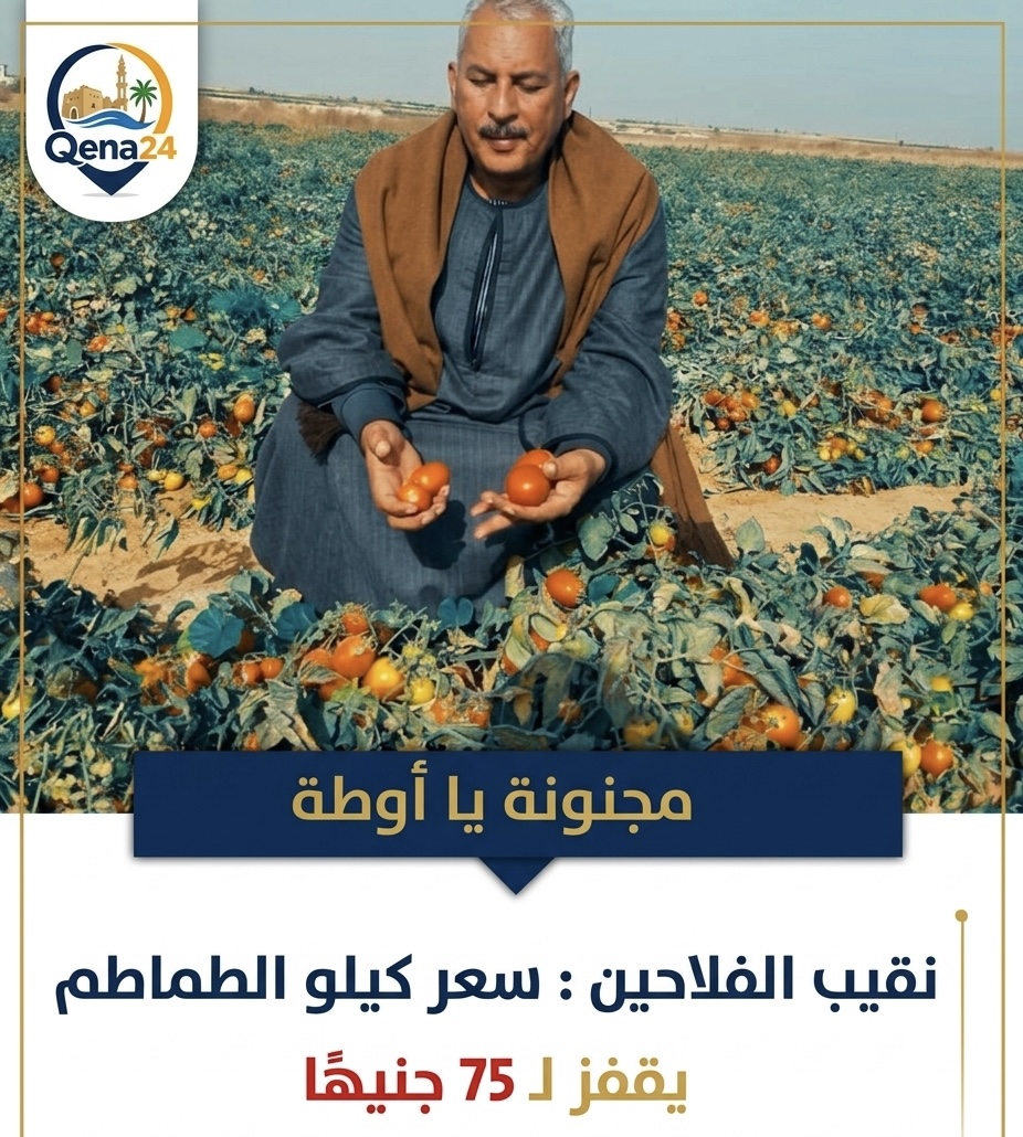 سعر كيلو الطماطم يقفز إلى 75 جنيهًا في الأسواق المصرية
