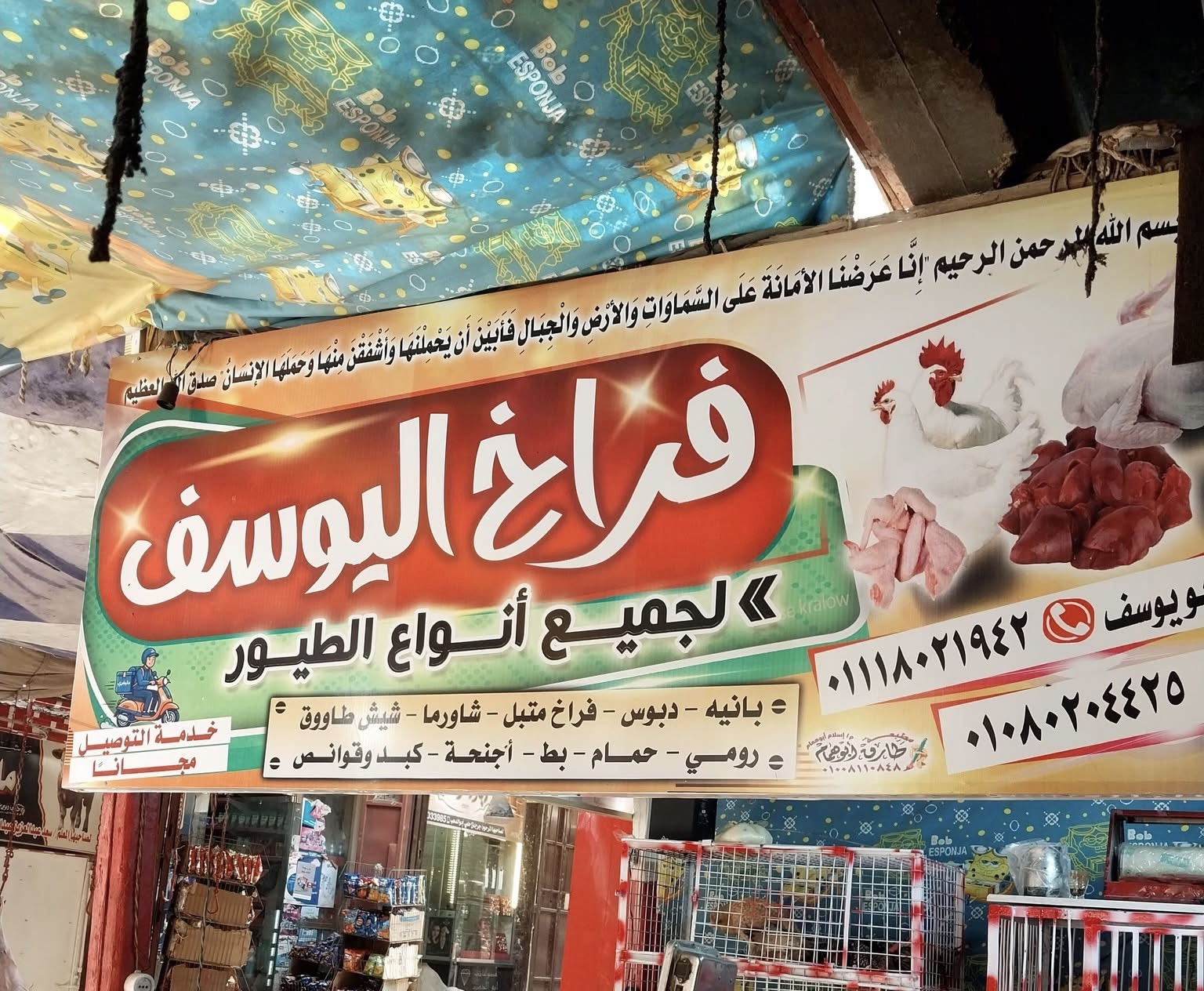 طيور اليوسف